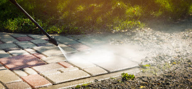 Best Roof Washing  in Rayre, MO