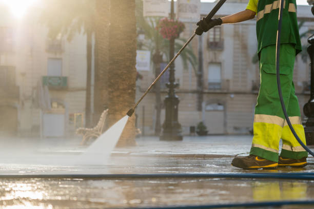 Best Gutter Cleaning  in Rayre, MO